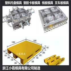 黄岩大型1208双面塑胶站板模具供应商