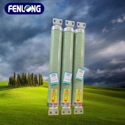 WKNDO/WKNDO/BFGDF高压熔断器-FENLONG品牌