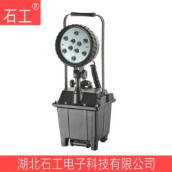 ZFW6102 BX30W DC24V IP65防爆泛光工作灯